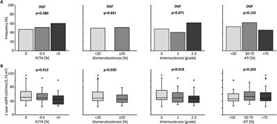 Only IF/TA in the Histological Evaluation of Post-Reperfusion Baseline Biopsies Correlates With Kidney Transplant Outcome